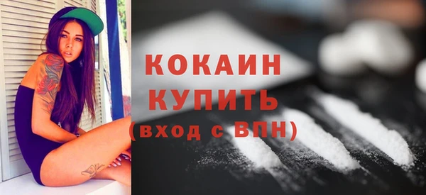 гидра Верхний Тагил