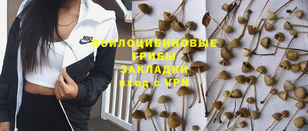 эйфоретик Аркадак