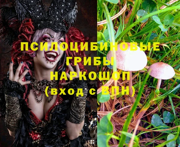 эйфоретик Аркадак