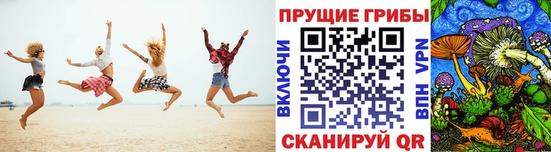 Галлюциногенные грибы MAGIC MUSHROOMS  Новозыбков 